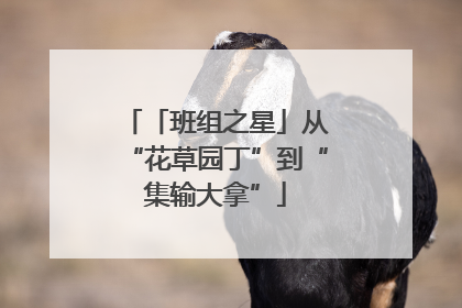 「班组之星」从“花草园丁”到“集输大拿”