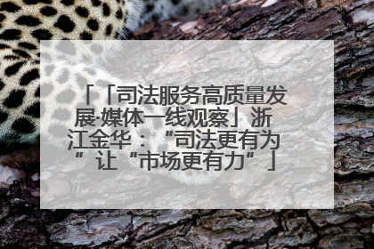 「司法服务高质量发展·媒体一线观察」浙江金华：“司法更有为”让“市场更有力”