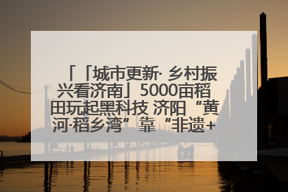 「城市更新· 乡村振兴看济南」5000亩稻田玩起黑科技 济阳“黄河·稻乡湾”靠“非遗+露营”火出圈