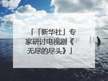 「新华社」专家研讨电视剧《无尽的尽头》