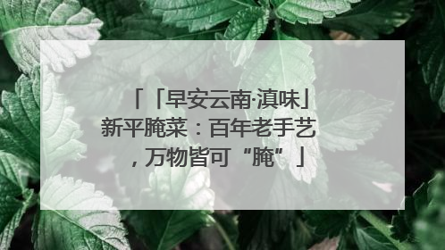 「早安云南·滇味」新平腌菜：百年老手艺，万物皆可“腌”