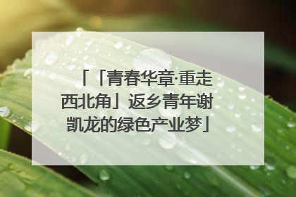 「青春华章·重走西北角」返乡青年谢凯龙的绿色产业梦