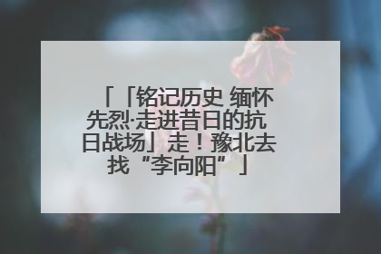 「铭记历史 缅怀先烈·走进昔日的抗日战场」走！豫北去找“李向阳”