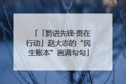 「黔进先锋·贵在行动」赵大志的“民生账本”画满勾勾