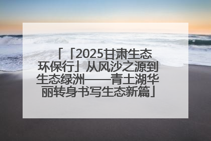 「2025甘肃生态环保行」从风沙之源到生态绿洲——青土湖华丽转身书写生态新篇