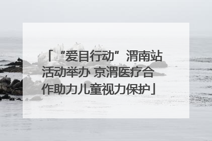 “爱目行动”渭南站活动举办 京渭医疗合作助力儿童视力保护