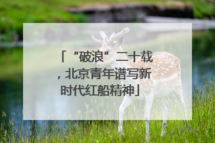 “破浪”二十载，北京青年谱写新时代红船精神
