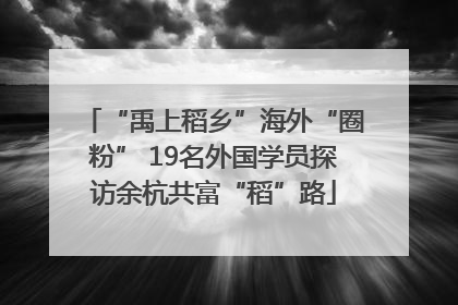 “禹上稻乡”海外“圈粉” 19名外国学员探访余杭共富“稻”路