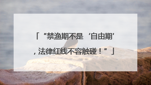“禁渔期不是‘自由期’，法律红线不容触碰！”
