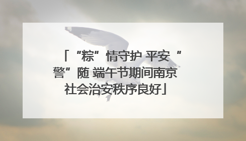 “粽”情守护 平安“警”随 端午节期间南京社会治安秩序良好