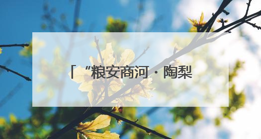 “粮安商河・陶梨留香”：三产融合赋能乡村振兴 跨村联建绘就共富画卷