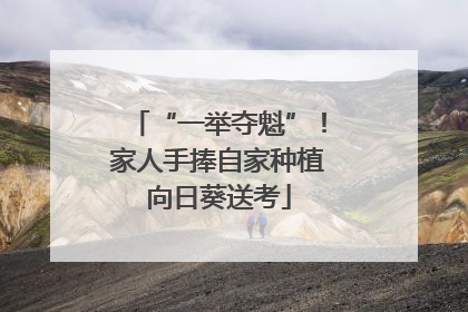 “一举夺魁”！家人手捧自家种植向日葵送考