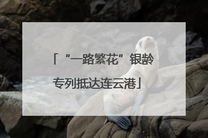 “一路繁花”银龄专列抵达连云港