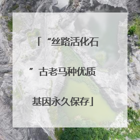 “丝路活化石”古老马种优质基因永久保存