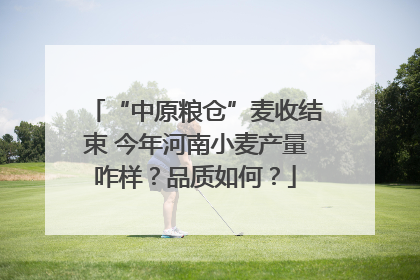 “中原粮仓”麦收结束 今年河南小麦产量咋样？品质如何？