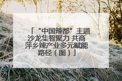 “中国辣都”主题沙龙集智聚力 共商萍乡辣产业多元赋能路径（图）