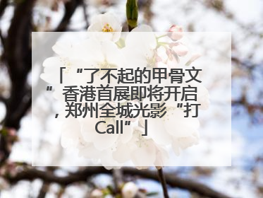“了不起的甲骨文”香港首展即将开启，郑州全城光影“打Call”