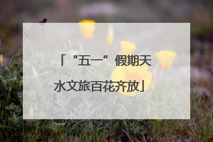 “五一”假期天水文旅百花齐放