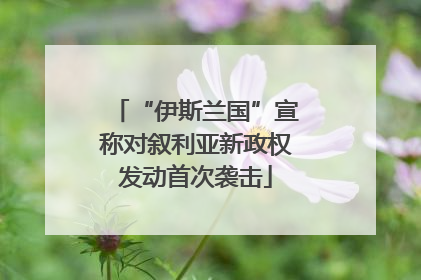 “伊斯兰国”宣称对叙利亚新政权发动首次袭击