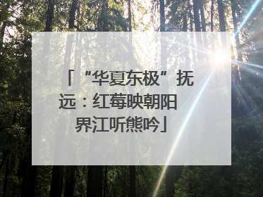 “华夏东极”抚远：红莓映朝阳 界江听熊吟