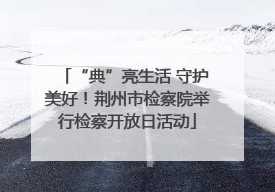 “典”亮生活 守护美好！荆州市检察院举行检察开放日活动