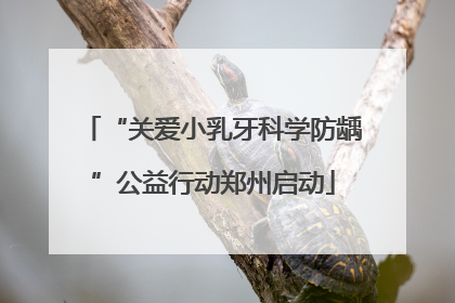 “关爱小乳牙科学防龋”公益行动郑州启动