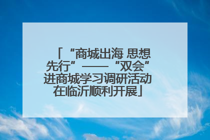 “商城出海 思想先行”——“双会”进商城学习调研活动在临沂顺利开展
