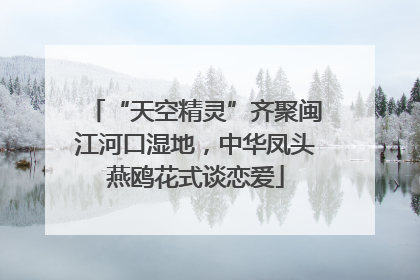 “天空精灵”齐聚闽江河口湿地，中华凤头燕鸥花式谈恋爱