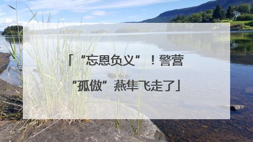 “忘恩负义”！警营“孤傲”燕隼飞走了