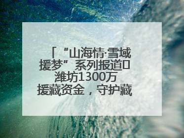 “山海情·雪域援梦”系列报道⑪ 潍坊1300万援藏资金，守护藏区群众健康“最后一公里”