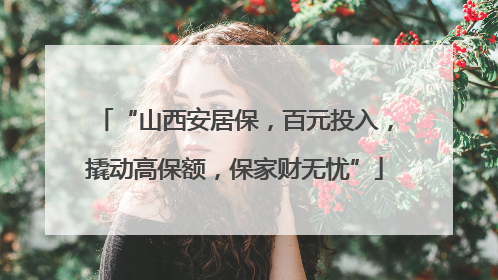 “山西安居保，百元投入，撬动高保额，保家财无忧”