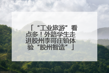“工业旅游”看点多！外籍学生走进胶州李哥庄镇体验“胶州智造”