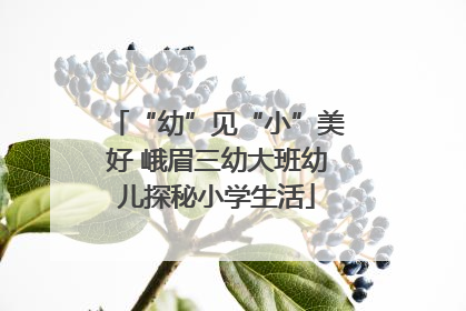 “幼”见“小”美好 峨眉三幼大班幼儿探秘小学生活