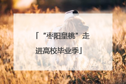 “枣阳皇桃”走进高校毕业季