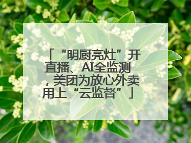 “明厨亮灶”开直播、AI全监测，美团为放心外卖用上“云监督”