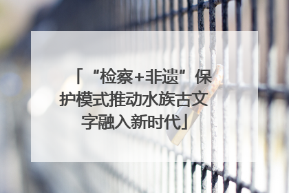 “检察+非遗”保护模式推动水族古文字融入新时代