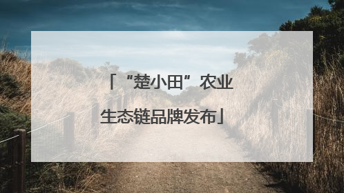 “楚小田”农业生态链品牌发布