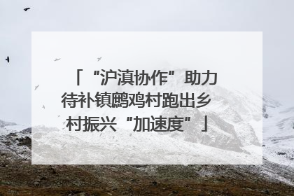 “沪滇协作”助力待补镇鹧鸡村跑出乡村振兴“加速度”