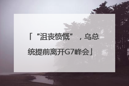 “沮丧愤慨”，乌总统提前离开G7峰会