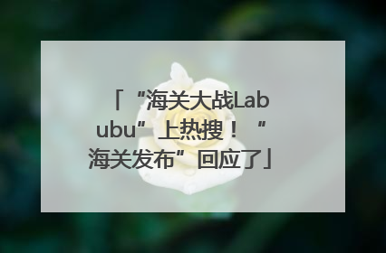 “海关大战Labubu”上热搜！“海关发布”回应了
