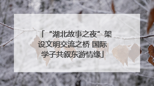 “湖北故事之夜”架设文明交流之桥 国际学子共叙东游情缘