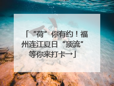 “荷”你有约！福州连江夏日“顶流”等你来打卡→