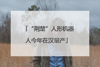 “荆楚”人形机器人今年在汉量产