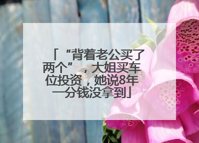 “背着老公买了两个”，大姐买车位投资，她说8年一分钱没拿到