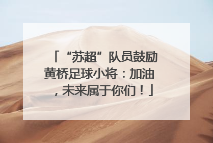 “苏超”队员鼓励黄桥足球小将：加油，未来属于你们！