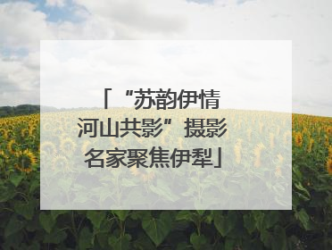 “苏韵伊情 河山共影”摄影名家聚焦伊犁