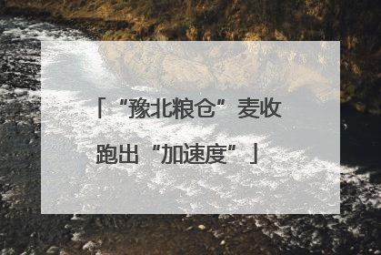 “豫北粮仓”麦收跑出“加速度”