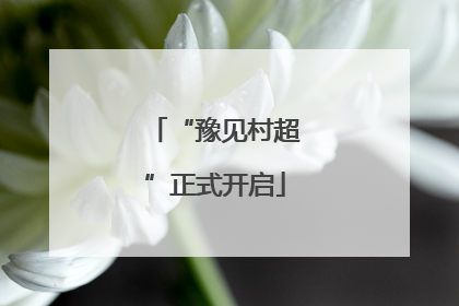 “豫见村超”正式开启