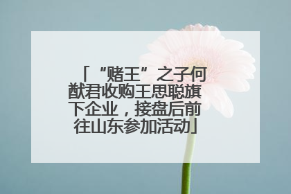 “赌王”之子何猷君收购王思聪旗下企业，接盘后前往山东参加活动