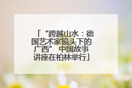 “跨越山水：德国艺术家镜头下的广西” 中国故事讲座在柏林举行
